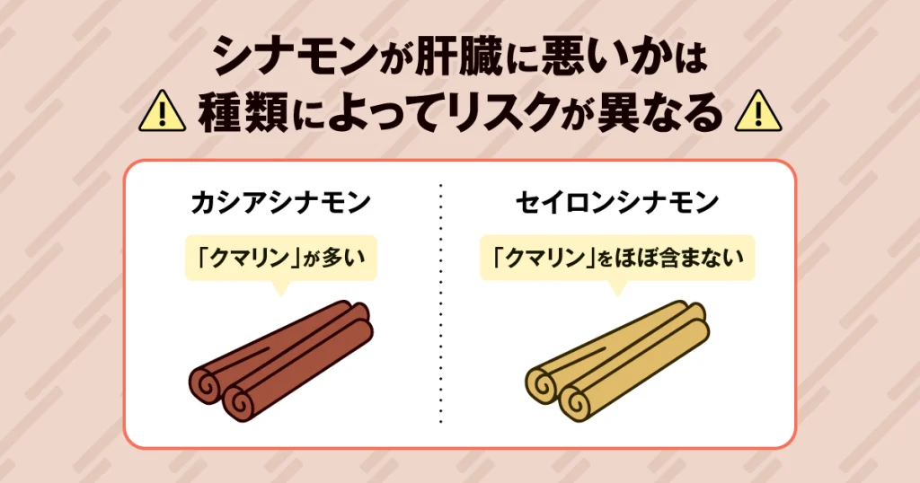 シナモンの種類