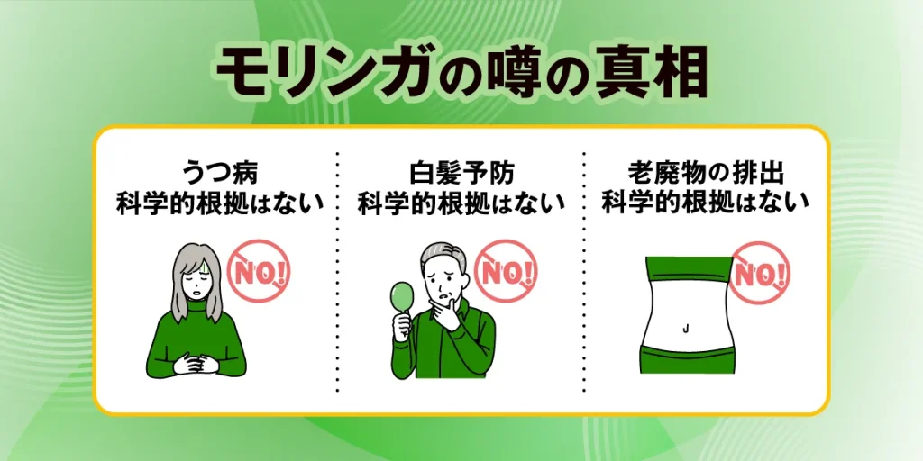モリンガ噂の真相